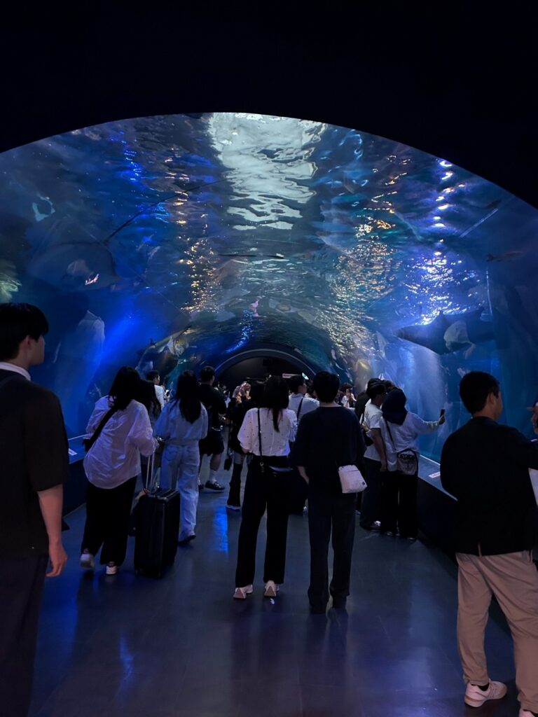 梅雨にオススメのお出かけスポット