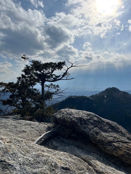山梨行くじゃあこけぇ行くといいよ！