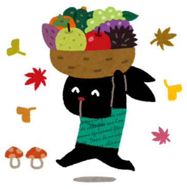 最近のマイブーム3選