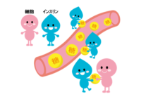 糖尿病について