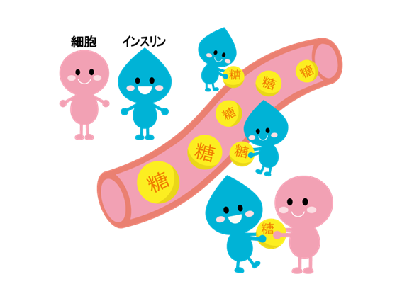 糖尿病について