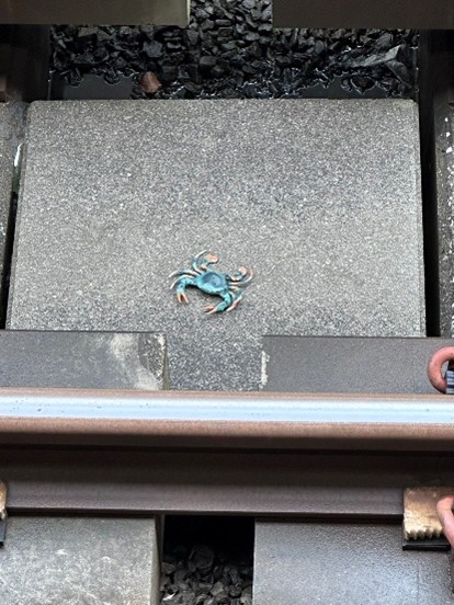 営業中に発見した落とし物展