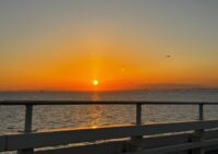 館山へ行ってきました。