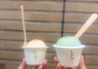 福岡旅行に行ってきました