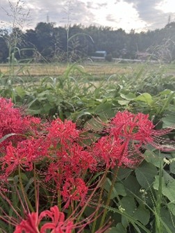 営業活動の中で出会った心に残る風景をご紹介します。