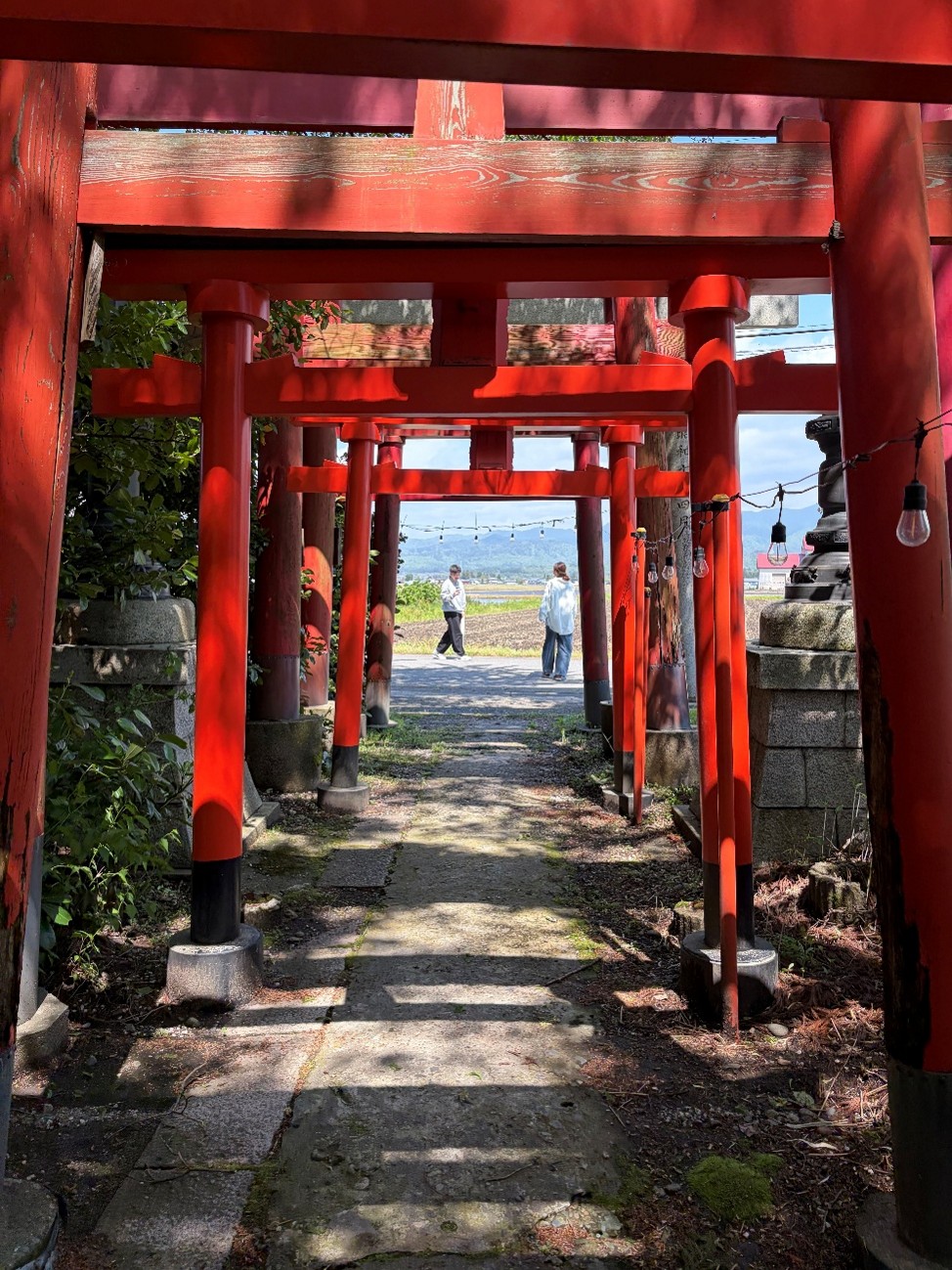 新潟旅行に行ってきました！