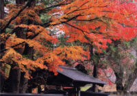 秋田県の魅力をご紹介　佐藤